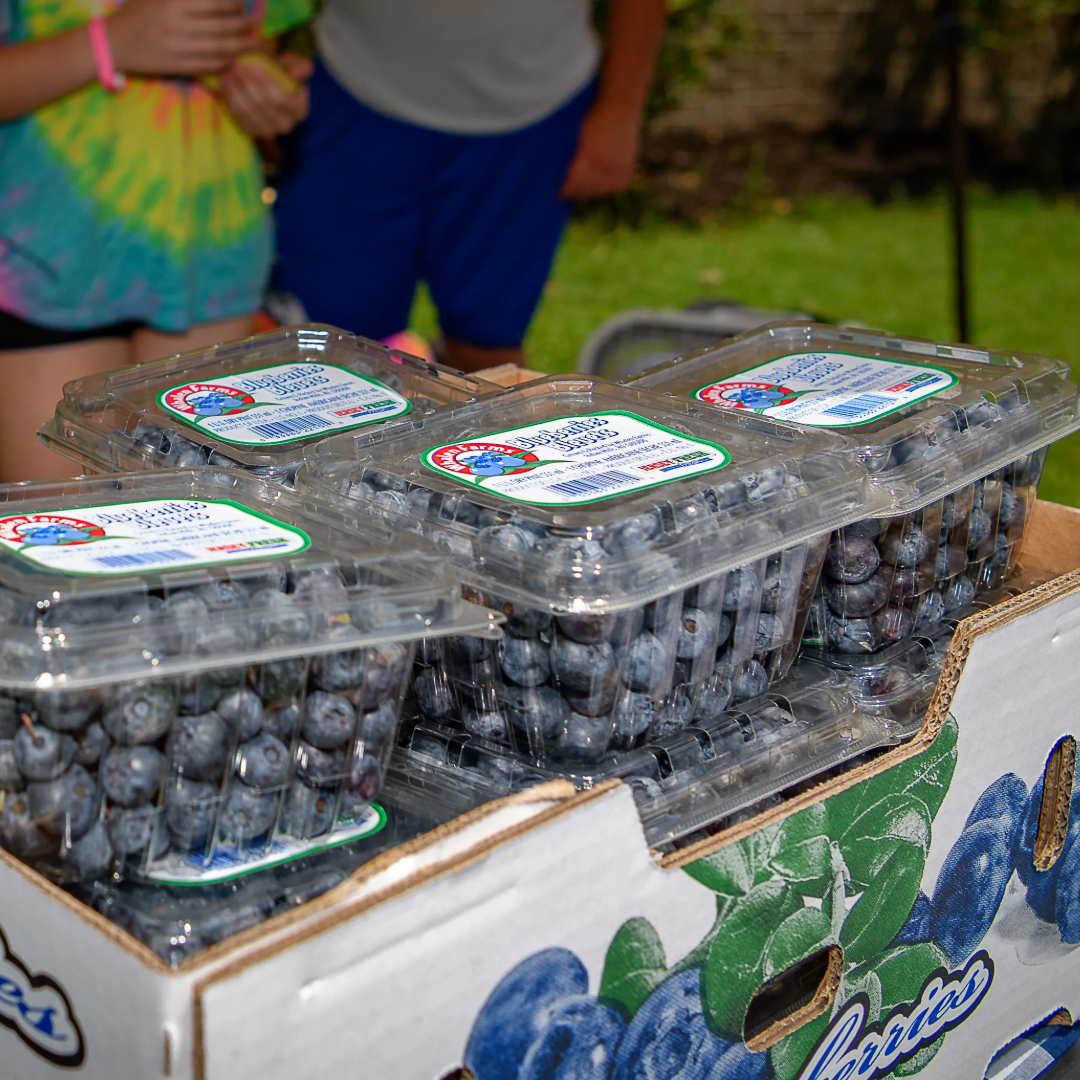 Chincoteague Island Blueberry Festival - fresh Blueberries